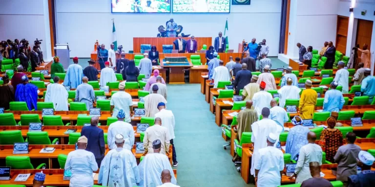Nigeria House-of-Representatives-During A Session